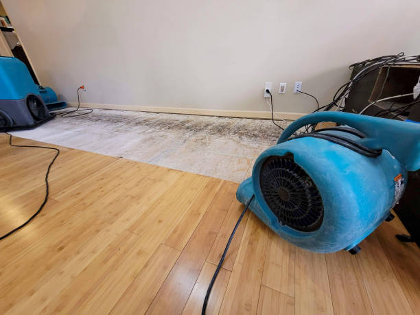 Professional Basement Flood Cleanup technician working in Grandville, MI